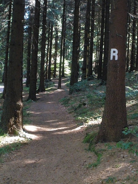 Rennsteig