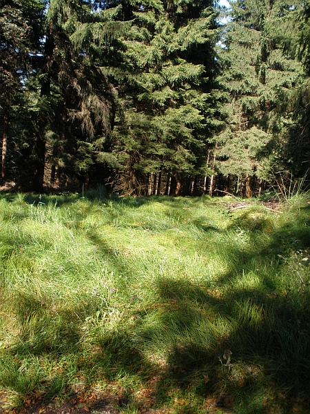 Rennsteig