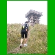 Rennsteig_035.jpg