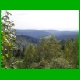 Rennsteig_059.jpg