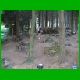 Rennsteig_068.jpg